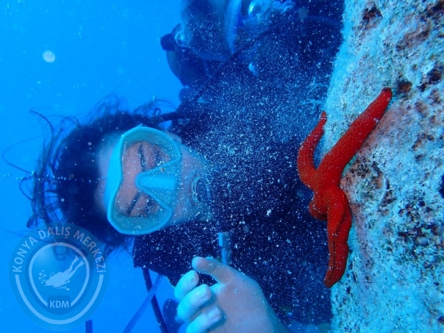 06 -07 Elül Kaş