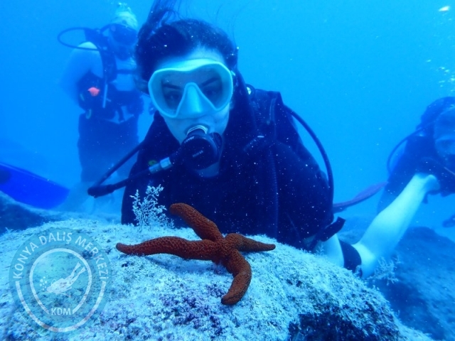 06 -07 Elül Kaş