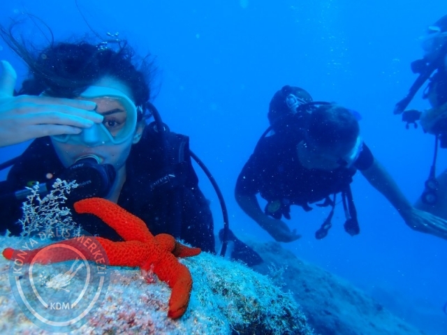 06 -07 Elül Kaş