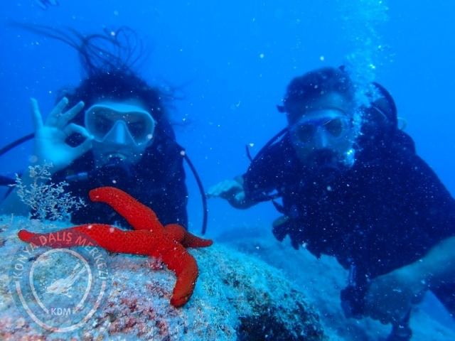 06 -07 Elül Kaş