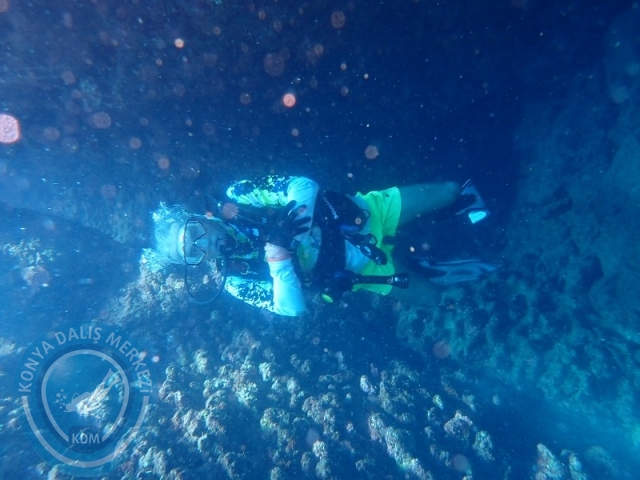 06 -07 Elül Kaş