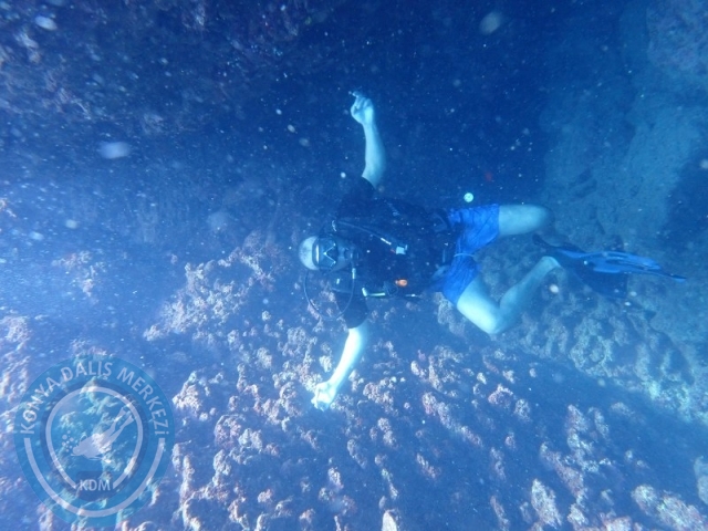 06 -07 Elül Kaş