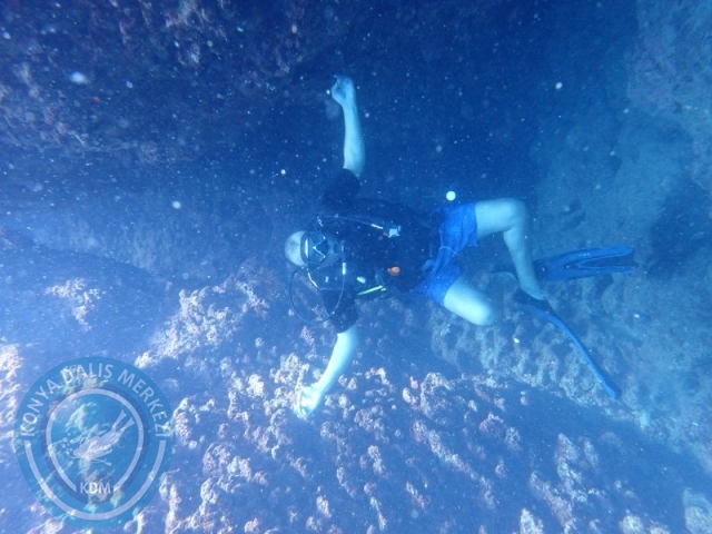 06 -07 Elül Kaş