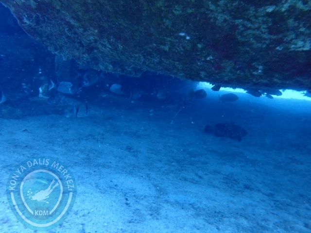 06 -07 Elül Kaş