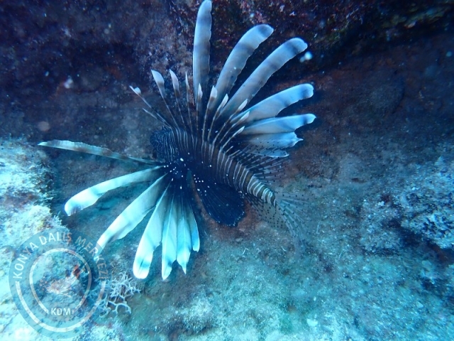 06 -07 Elül Kaş