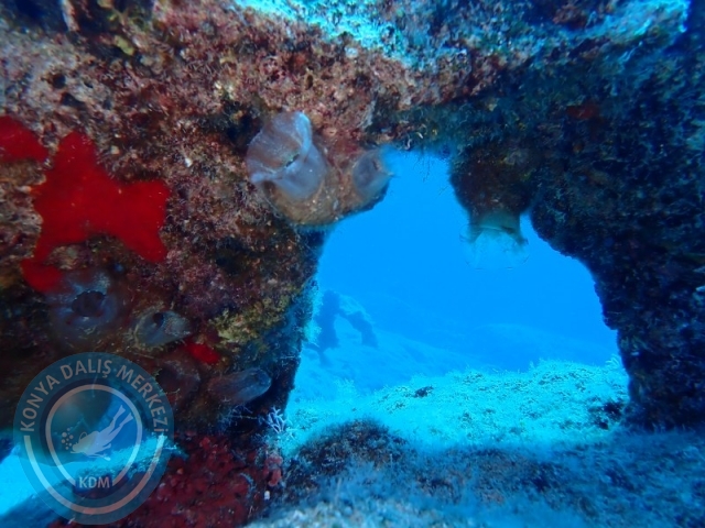 06-07 Temmuz Kaş
