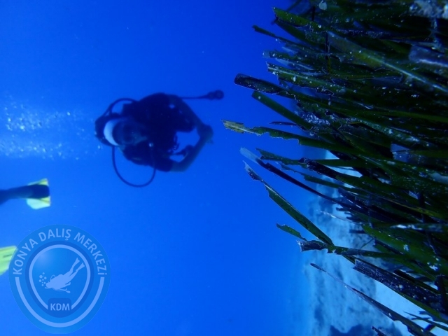 06-07 Temmuz Kaş