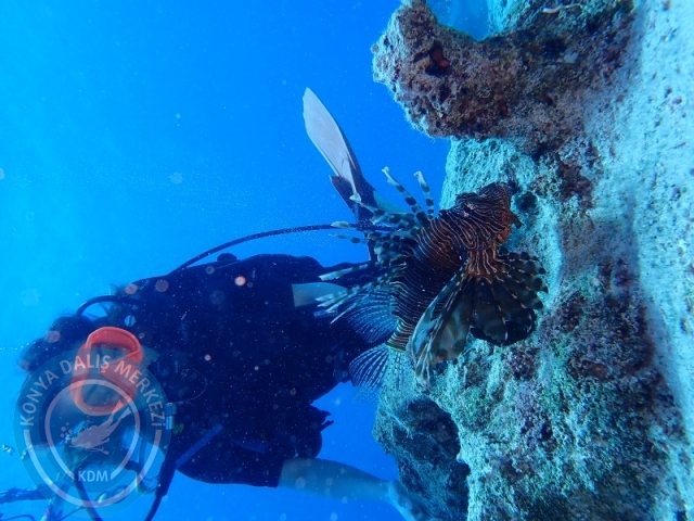 06-07 Temmuz Kaş