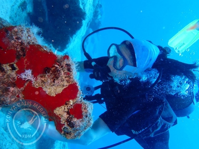 06-07 Temmuz Kaş