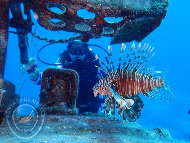 06-07 Temmuz Kaş