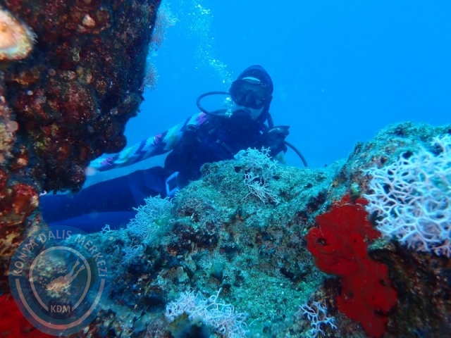 06-07 Temmuz Kaş