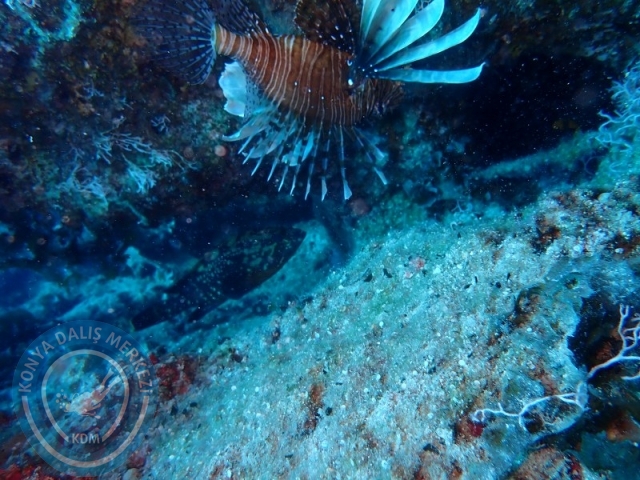 06-07 Temmuz Kaş