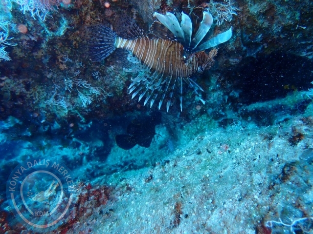 06-07 Temmuz Kaş