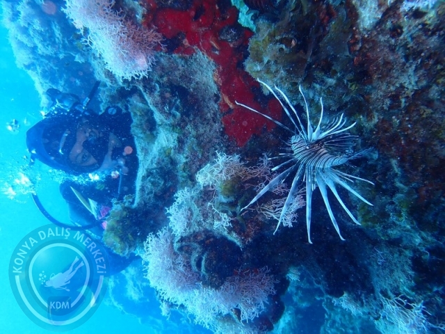 06-07 Temmuz Kaş