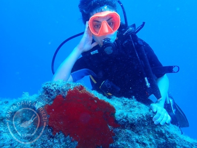 06-07 Temmuz Kaş