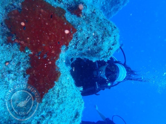 06-07 Temmuz Kaş