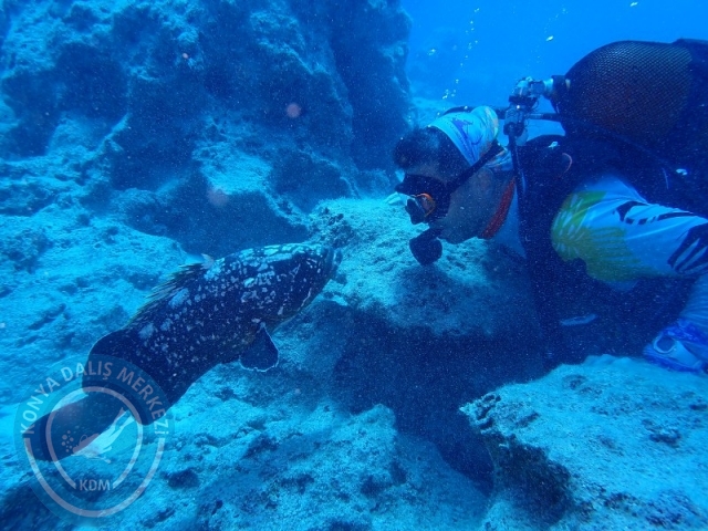 06-07 Temmuz Kaş