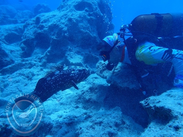 06-07 Temmuz Kaş