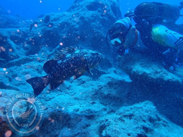 06-07 Temmuz Kaş