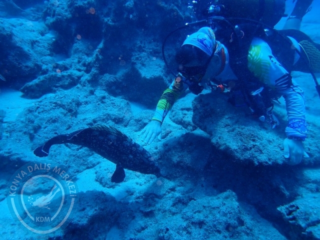 06-07 Temmuz Kaş