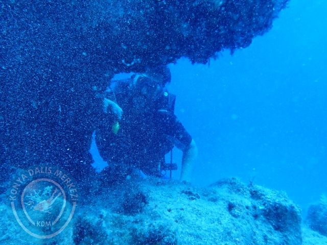 06-07 Temmuz Kaş