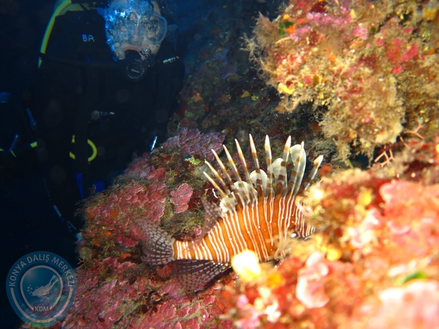 07 - 08 Mayıs KAŞ