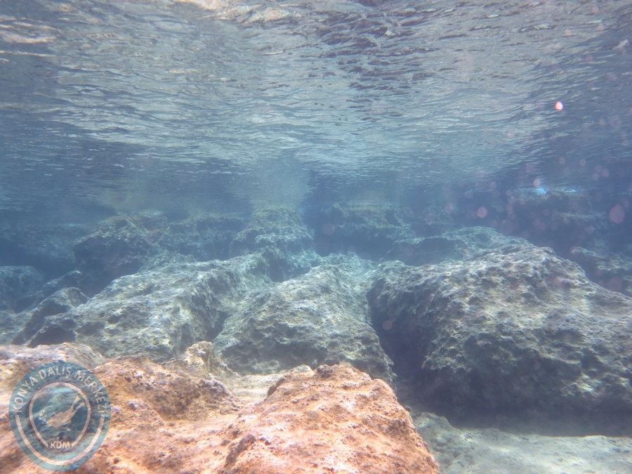07 - 08 Mayıs KAŞ