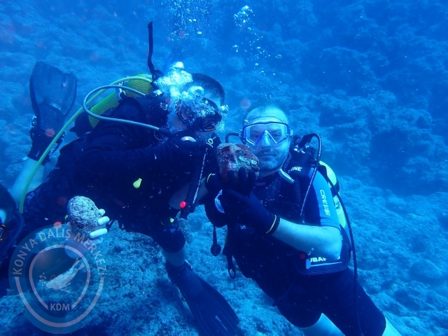 07-08 Ekim Kemer