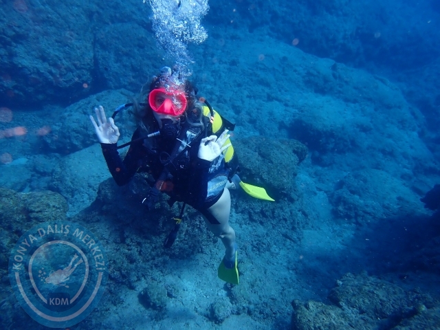 07-08 Ekim Kemer