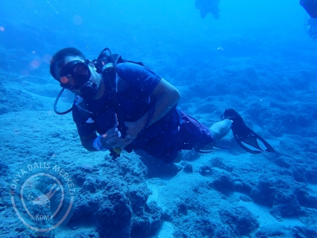 07-08 Ekim Kemer