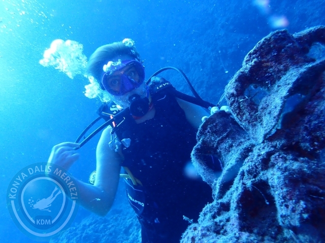 07-08 Ekim Kemer