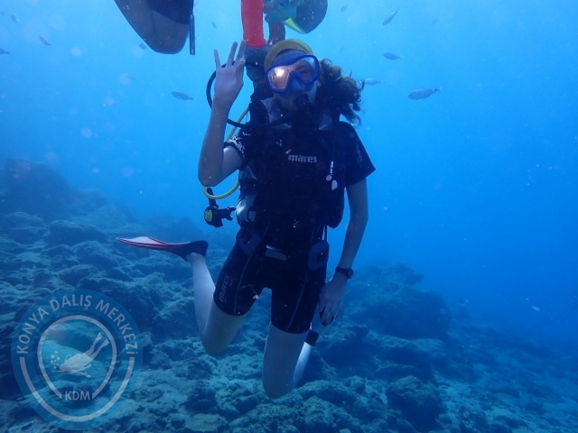 07-08 Ekim Kemer