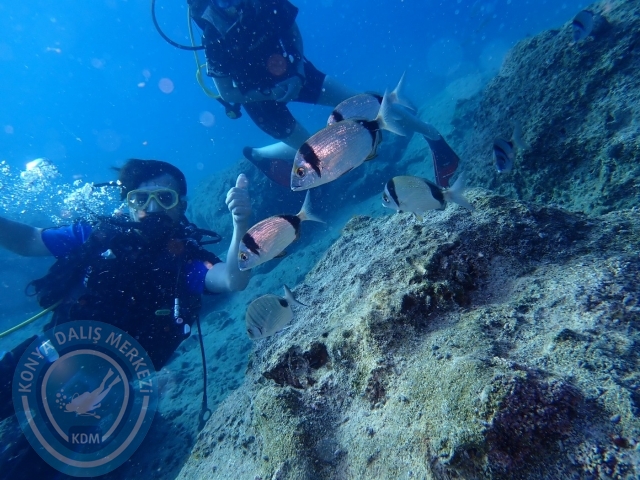 07-08 Ekim Kemer