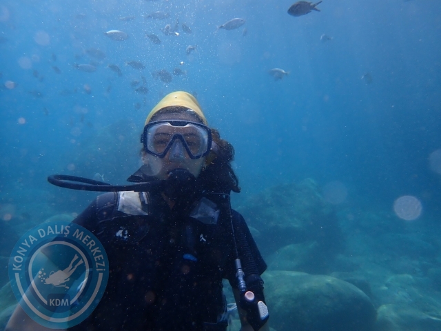 07-08 Ekim Kemer