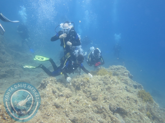 08-09 Ağustos Ayvalık