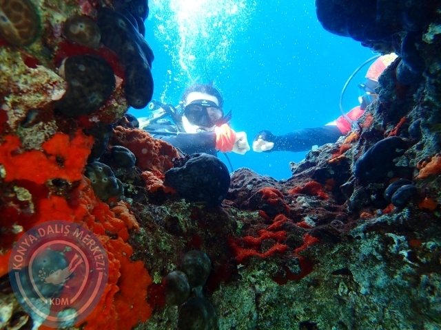 08-09 Ekim Selimiye