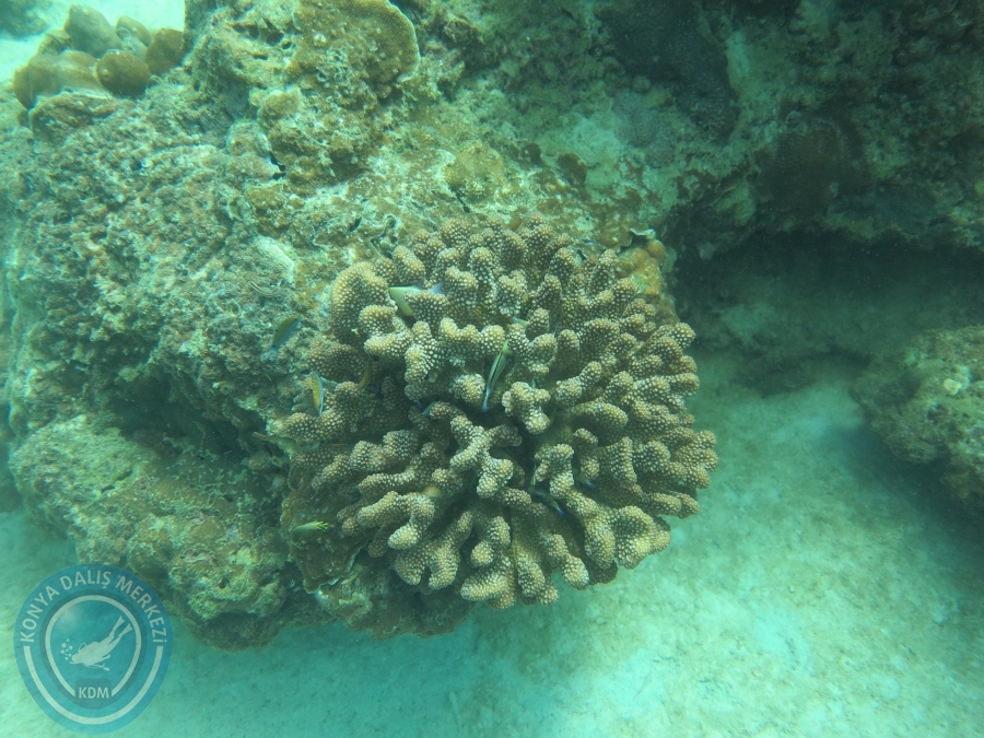 09 - 17 Nisan PHUKET