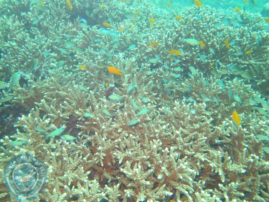 09 - 17 Nisan PHUKET
