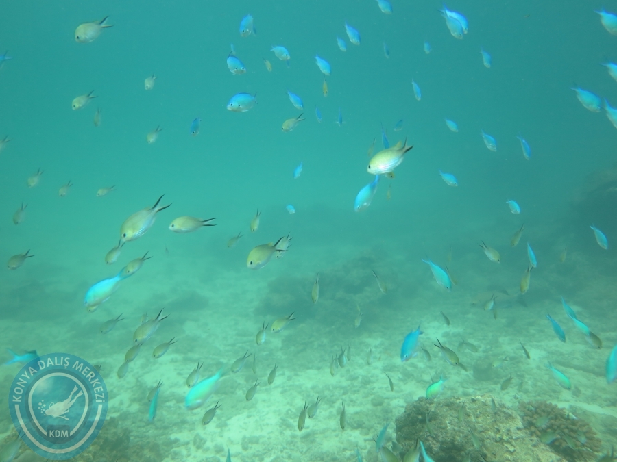 09 - 17 Nisan PHUKET
