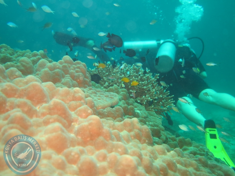 09 - 17 Nisan PHUKET