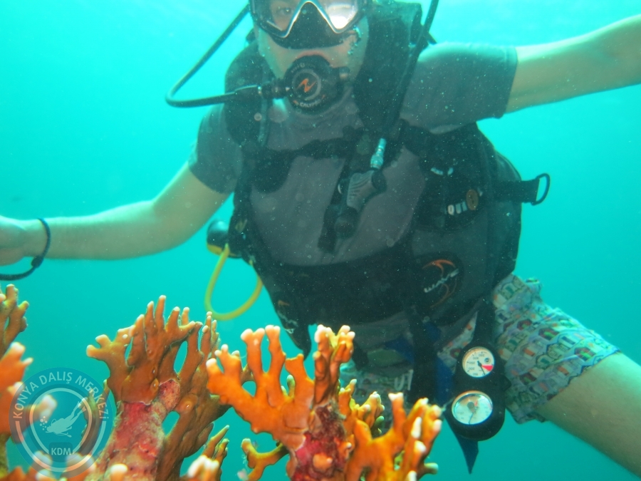 09 - 17 Nisan PHUKET