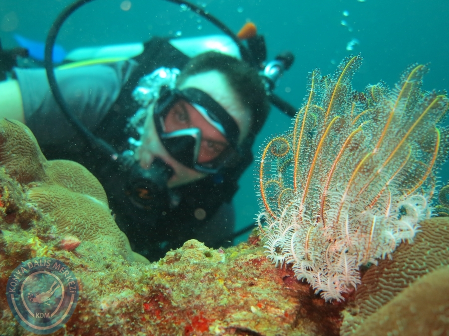 09 - 17 Nisan PHUKET