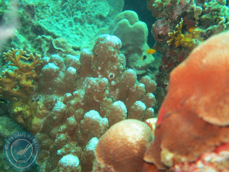 09 - 17 Nisan PHUKET