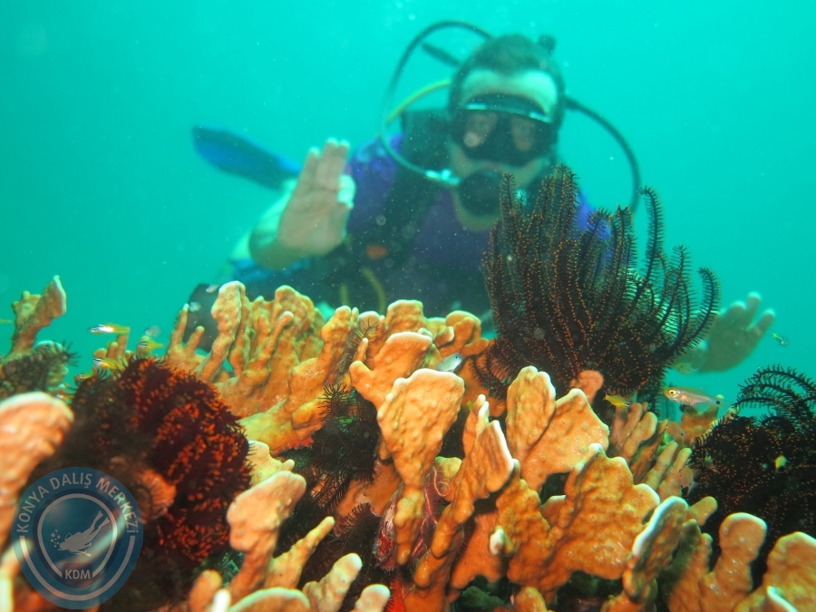 09 - 17 Nisan PHUKET