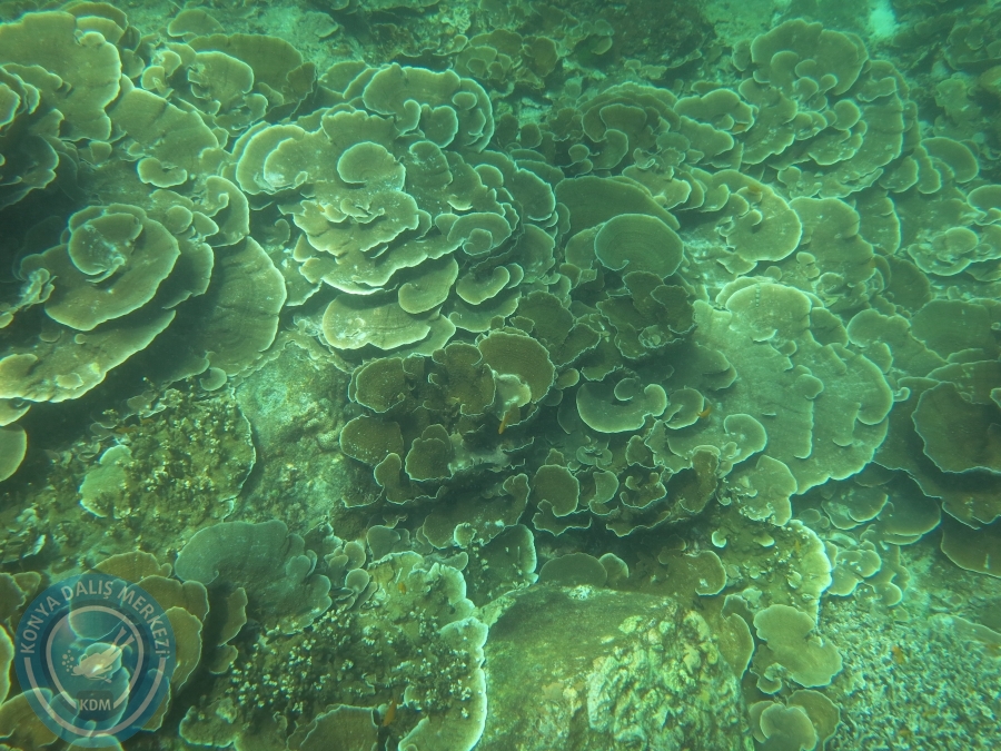 09 - 17 Nisan PHUKET