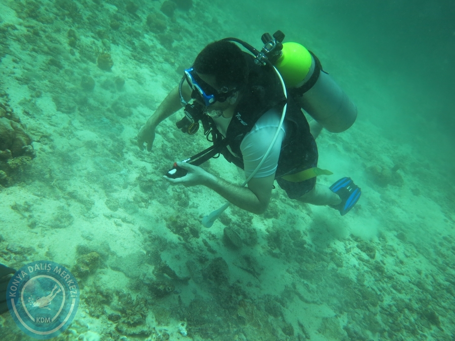 09 - 17 Nisan PHUKET