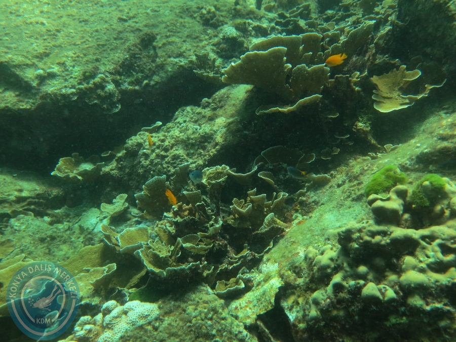 09 - 17 Nisan PHUKET