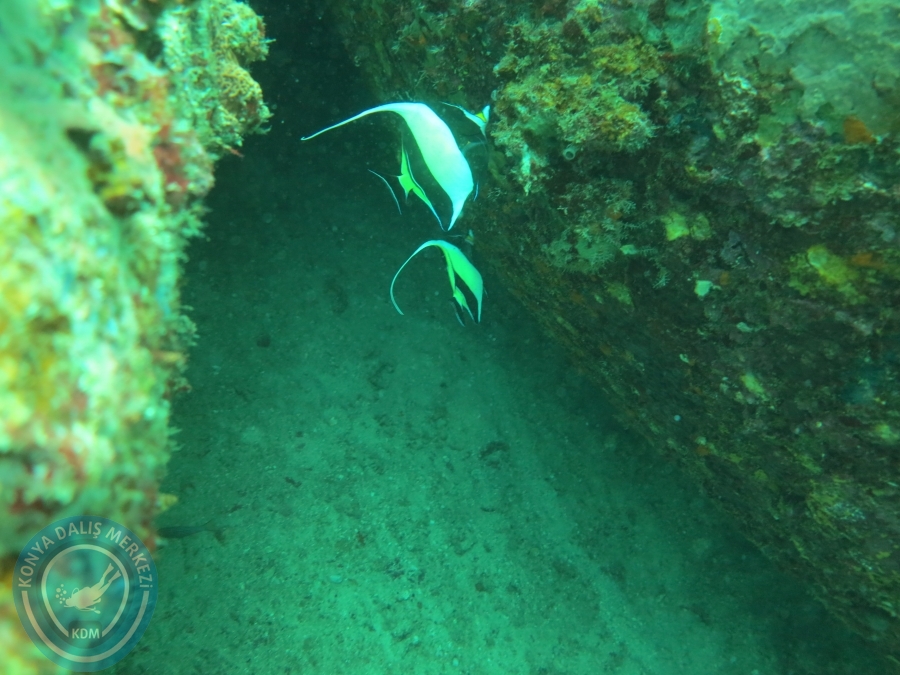 09 - 17 Nisan PHUKET