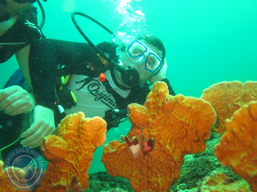 09 - 17 Nisan PHUKET