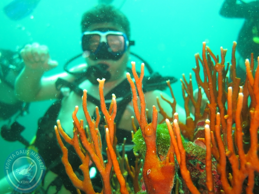 09 - 17 Nisan PHUKET